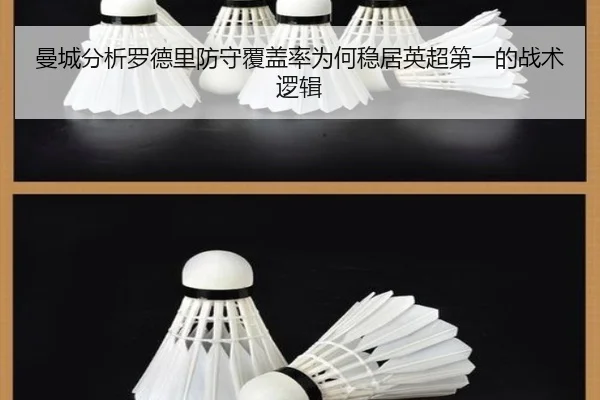 曼城分析罗德里防守覆盖率为何稳居英超第一的战术逻辑
